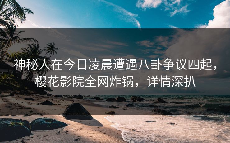 神秘人在今日凌晨遭遇八卦争议四起，樱花影院全网炸锅，详情深扒