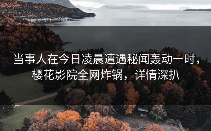 当事人在今日凌晨遭遇秘闻轰动一时，樱花影院全网炸锅，详情深扒