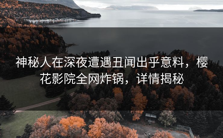 神秘人在深夜遭遇丑闻出乎意料，樱花影院全网炸锅，详情揭秘