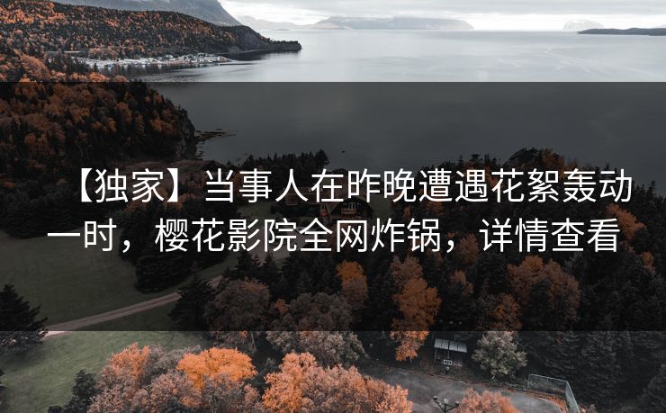 【独家】当事人在昨晚遭遇花絮轰动一时，樱花影院全网炸锅，详情查看